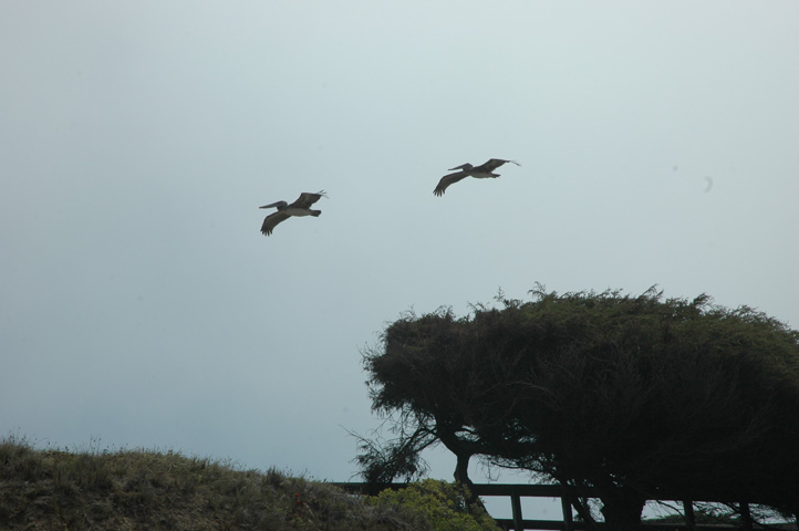 Moonstone Beach 042.jpg